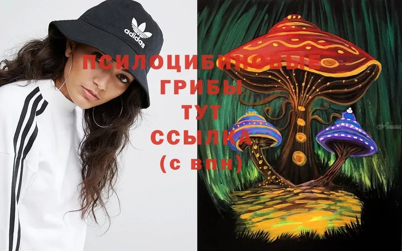 Псилоцибиновые грибы MAGIC MUSHROOMS  Новоалтайск 